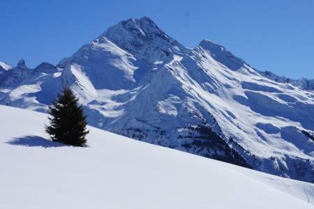 Le Studio D'Emma Apartamento La Plagne Exterior foto